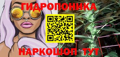 дурь Шебекино