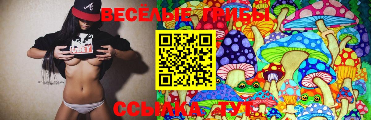 Псилоцибиновые грибы Cubensis Архангельск