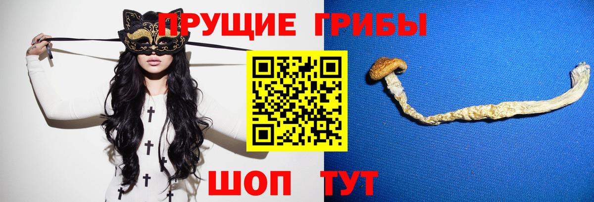 Галлюциногенные грибы GOLDEN TEACHER  Галлюциногенные грибы мицелий  Архангельск  Вход с VPN 